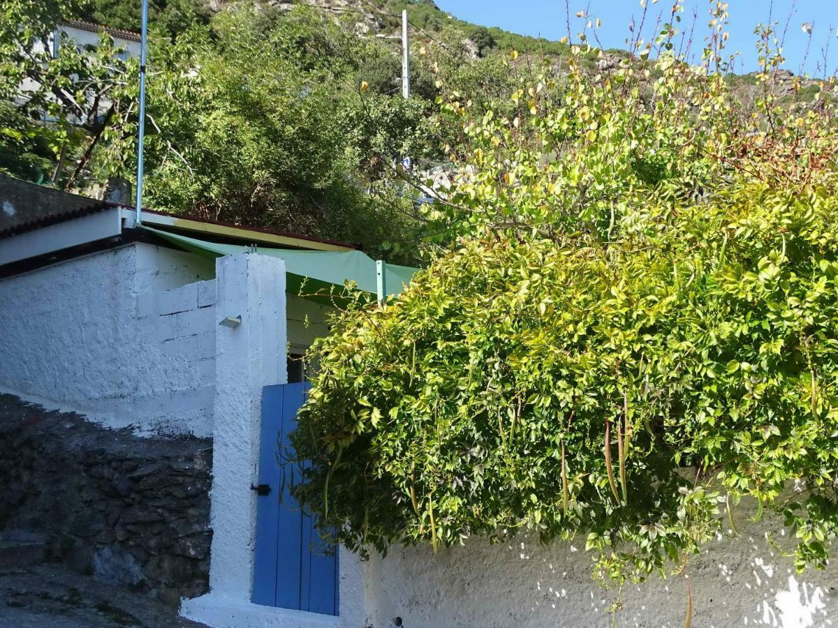 Casa Pentone * Cervione